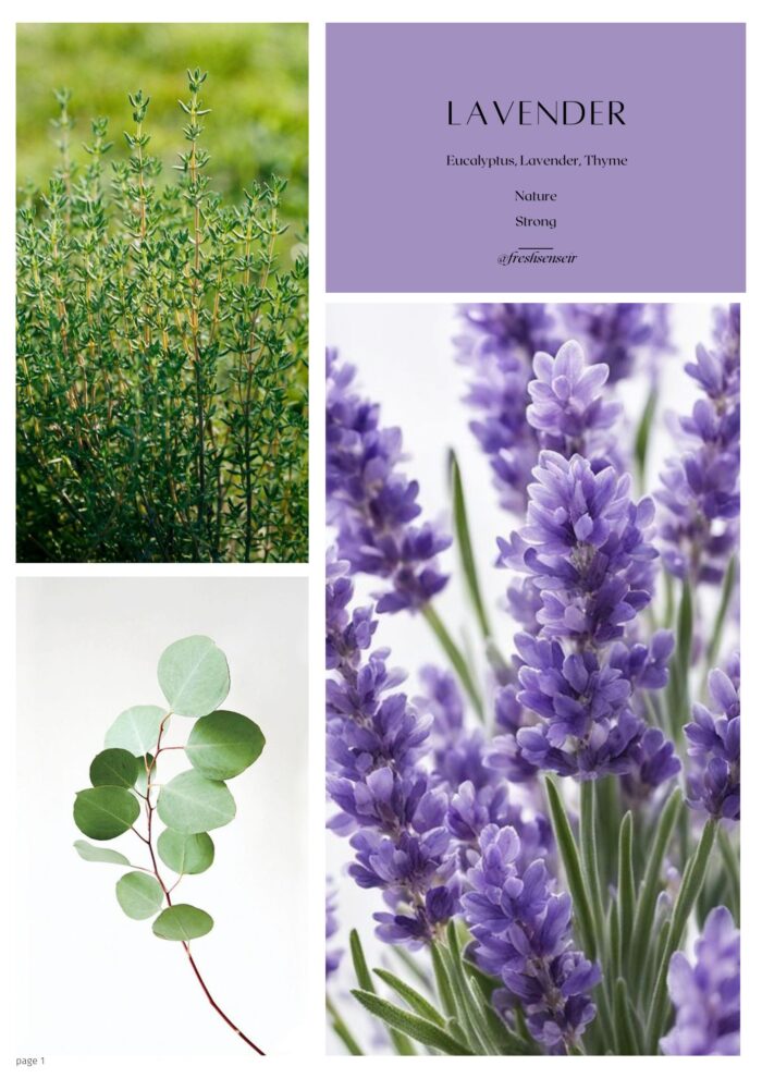 اسانس روغنی Lavender