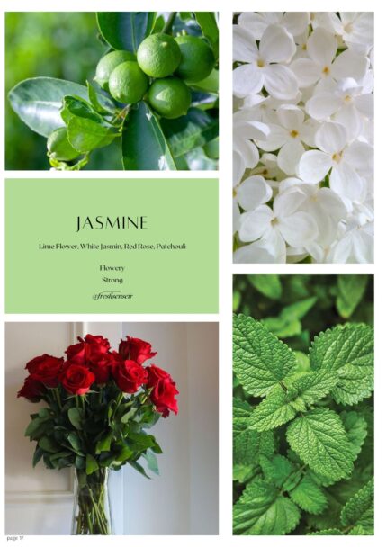 اسانس روغنی Jasmin