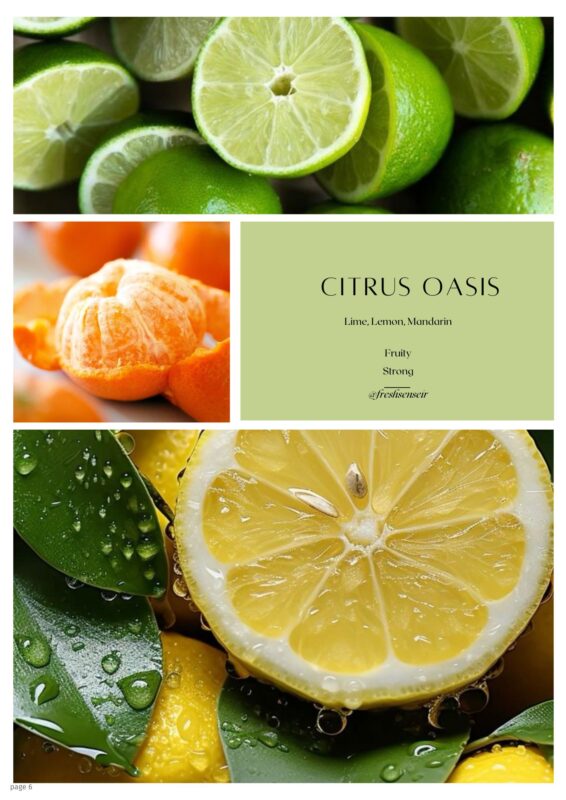 اسانس روغنی Citrus Oasis